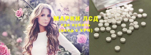 дмт Алзамай
