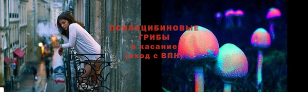 метамфетамин Ельня