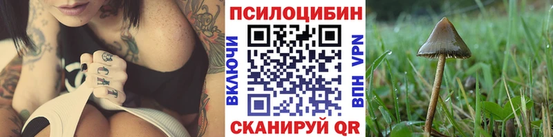 Галлюциногенные грибы MAGIC MUSHROOMS  как найти   Среднеколымск 